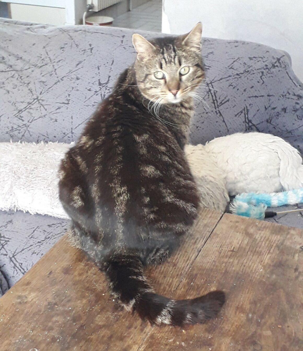 DON JUAN – 3 ans