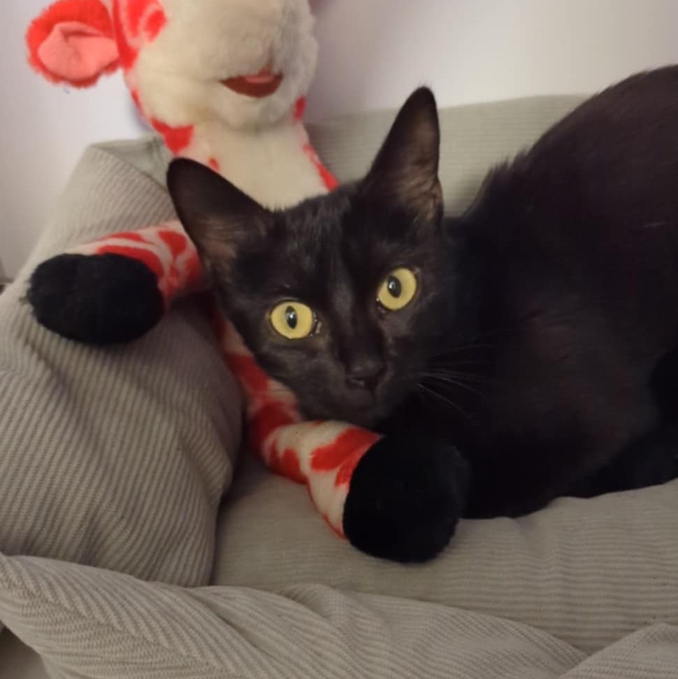 ABBY – 2 ans