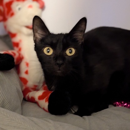 ABBY – 2 ans