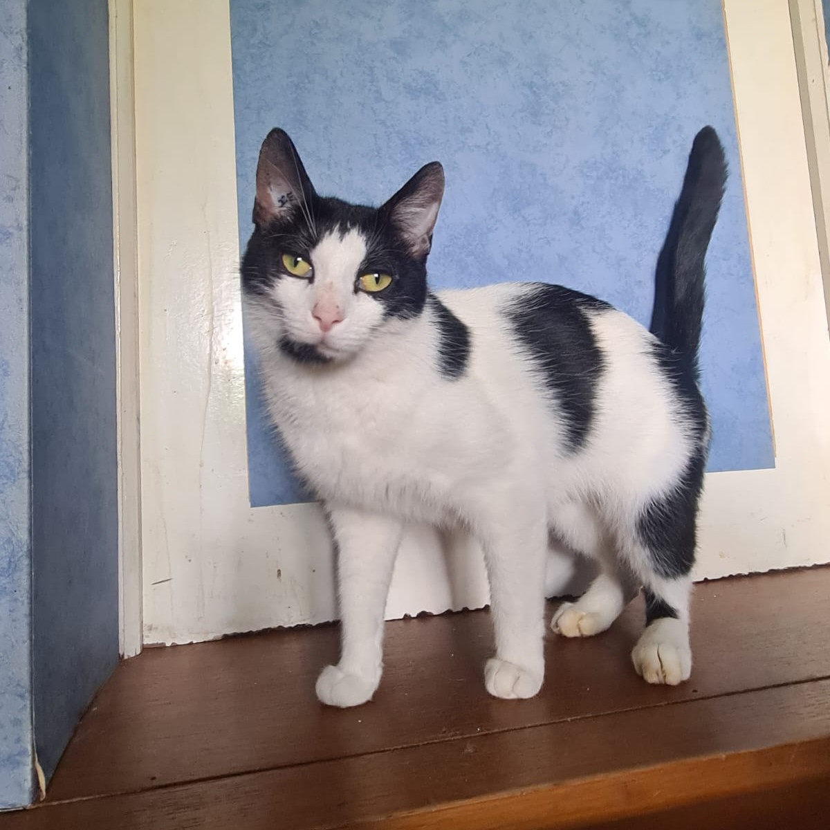 ANNA – 2 ans