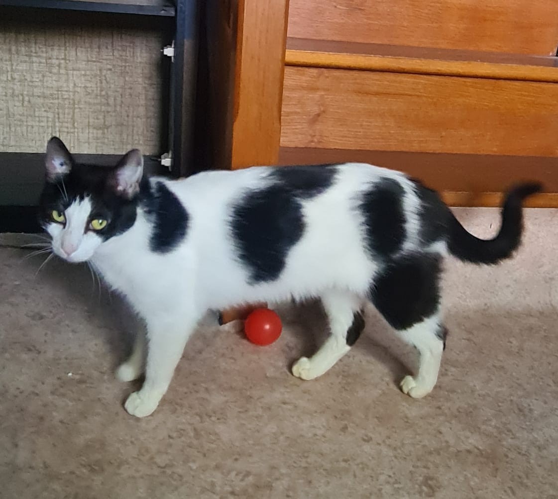 ANNA – 2 ans