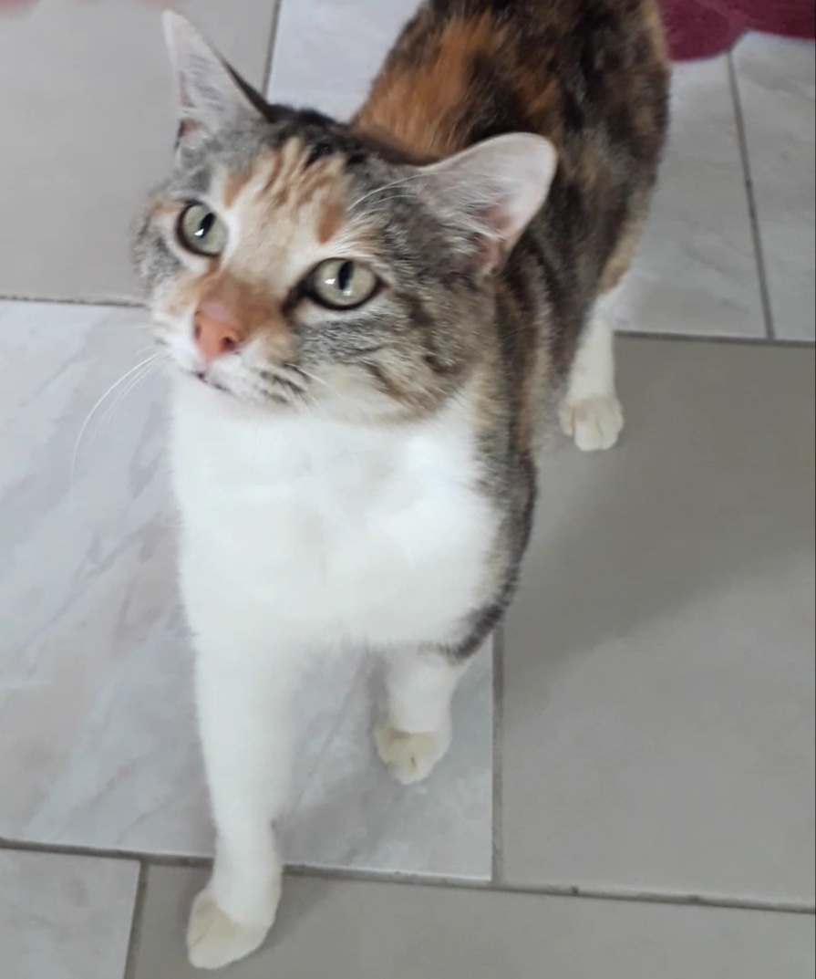 ADORA – 2 ans