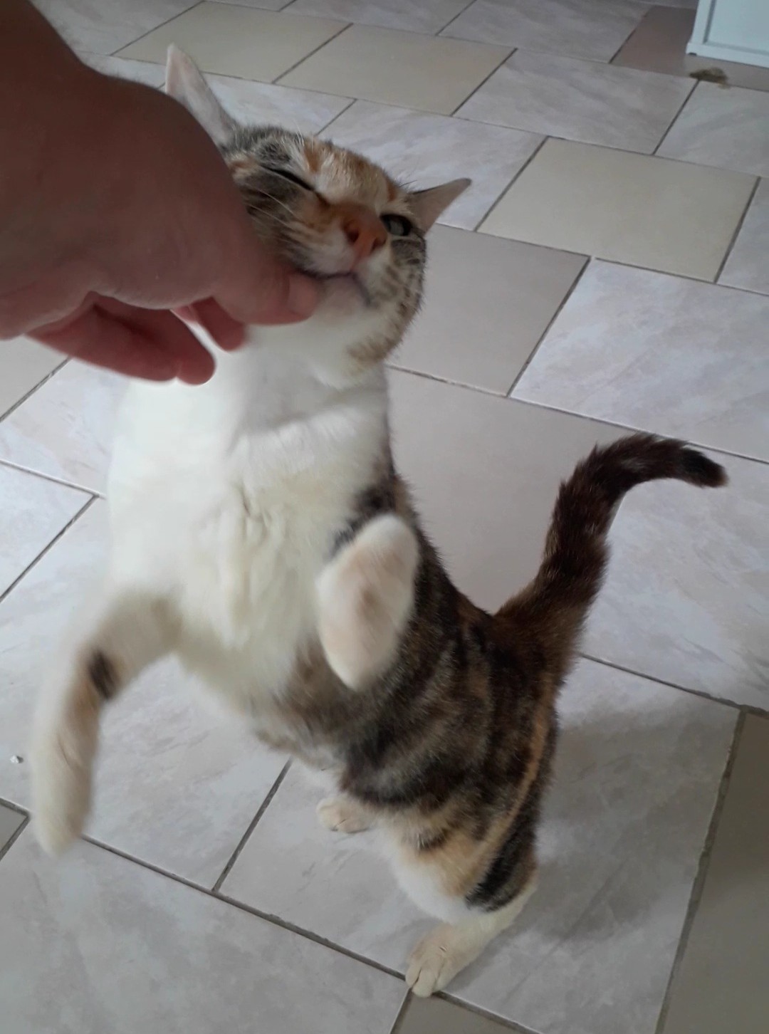 ADORA – 2 ans