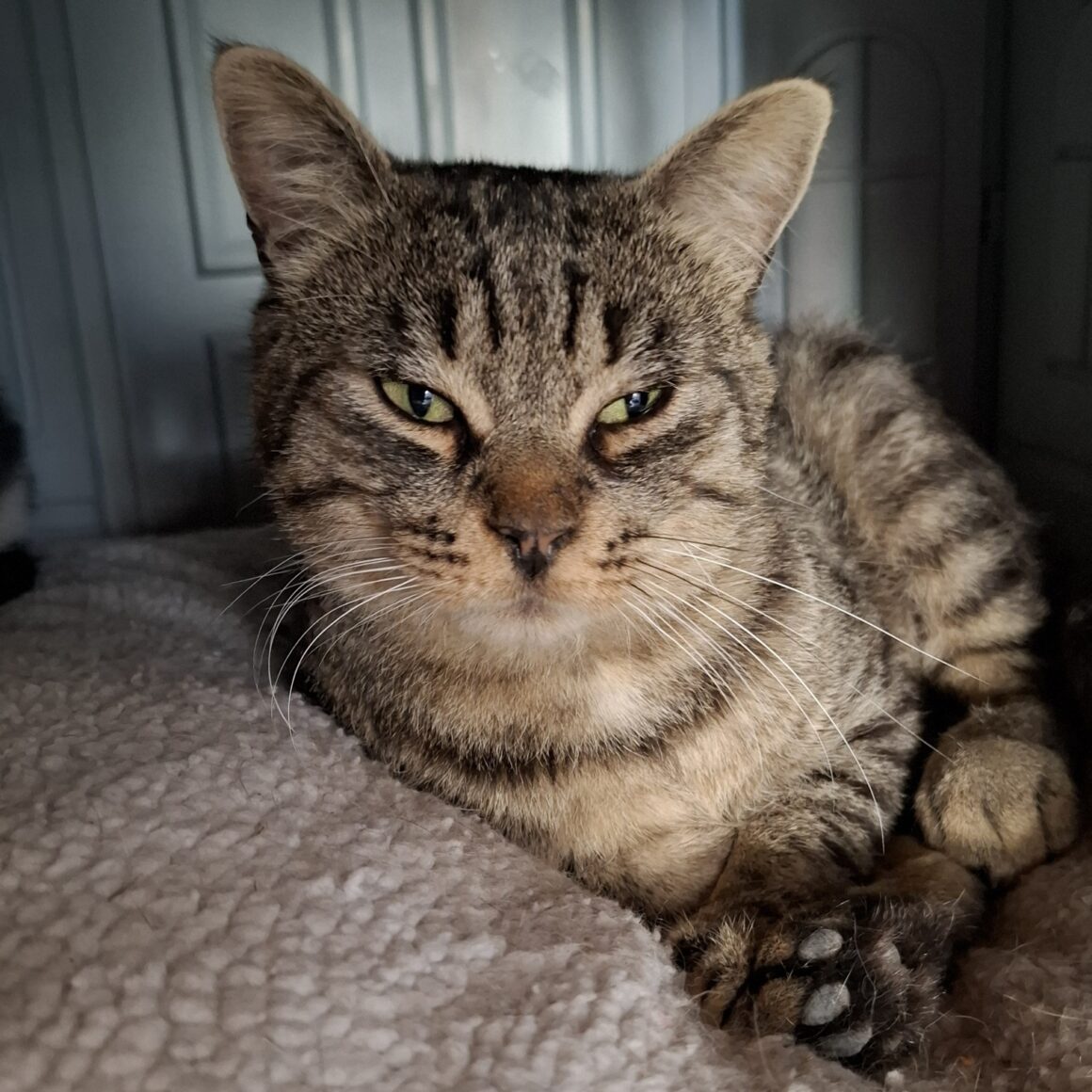 ALBERT – 2 ans