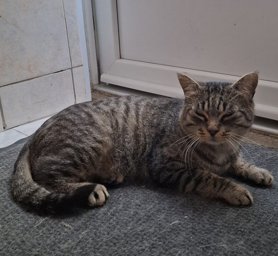 ALBERT – 2 ans