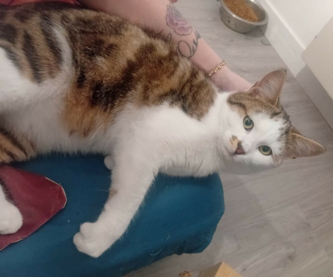 ACE – 6 mois Réservé