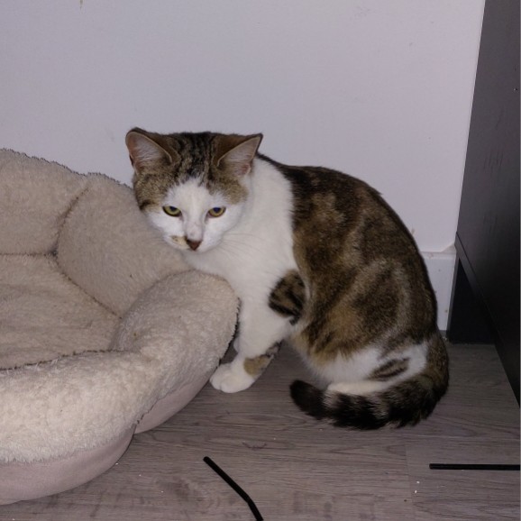 ACE (2) ACE – 6 mois