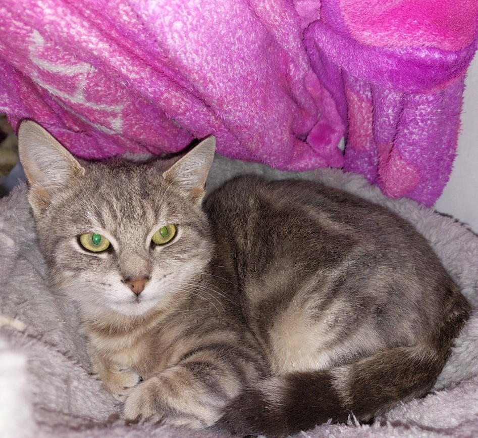 AMARO (1) AMARO – 6 mois