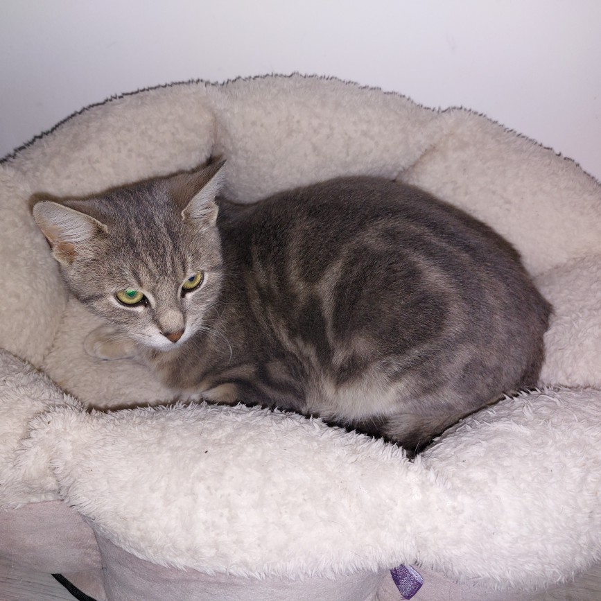 AMARO (2) AMARO – 6 mois