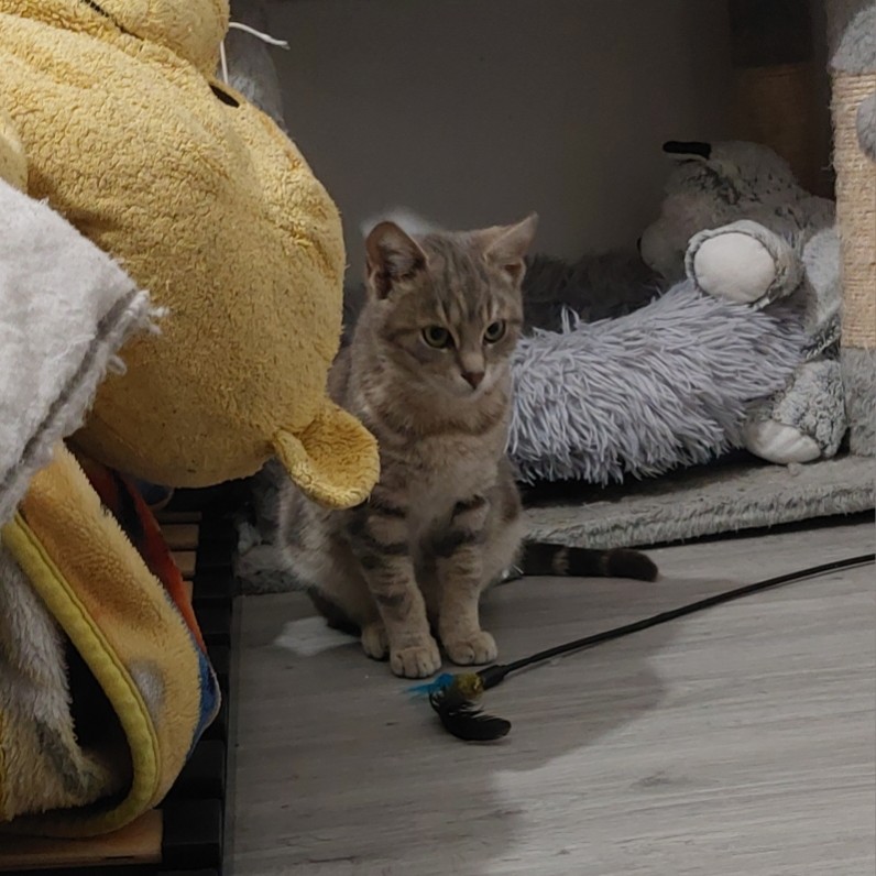 AMARO (3) AMARO – 6 mois