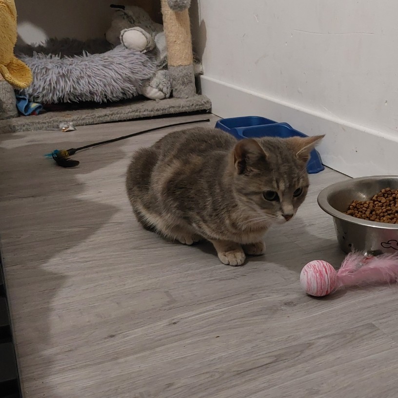 AMARO (4) AMARO – 6 mois