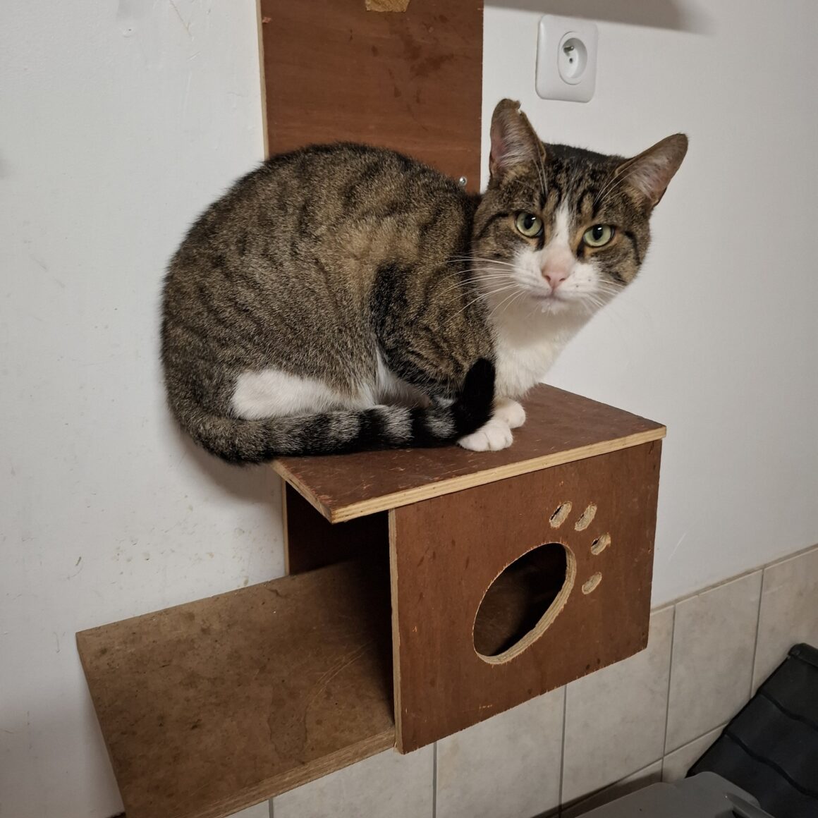 ATIKO NOV 25 (1) ATIKO – 1 an