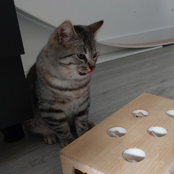 AVEN (1) AVEN – 6 mois