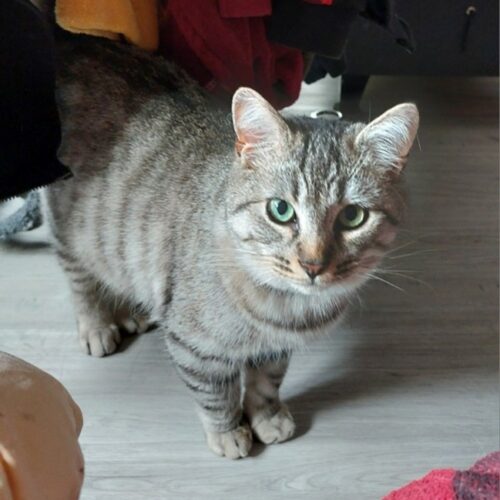 AVEN (2) AVEN – 6 mois