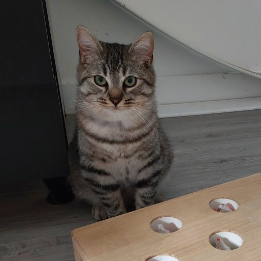 AVEN (4) AVEN – 6 mois