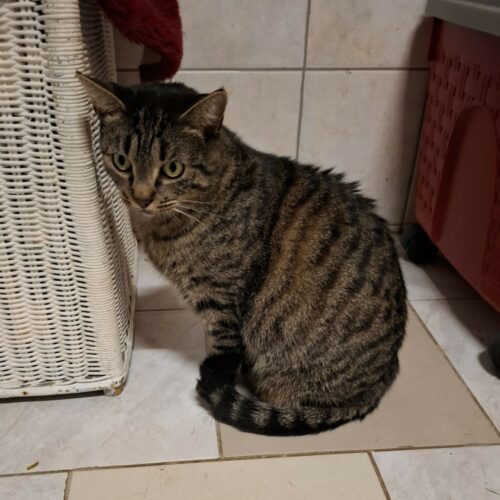 AVENTURA (5) AVENTURA – 1 an