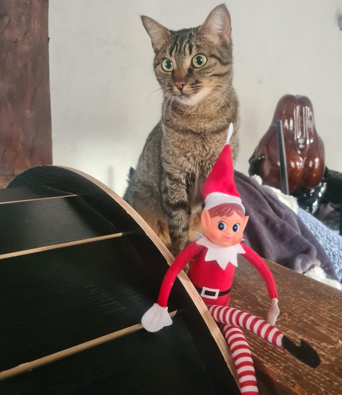 ACELIE (4) ACÉLIE – 1 ans