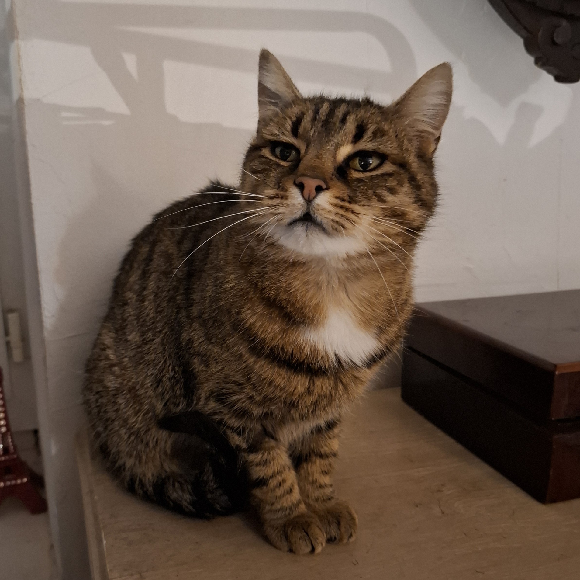 AURA (4) AURA – 1 an réservée