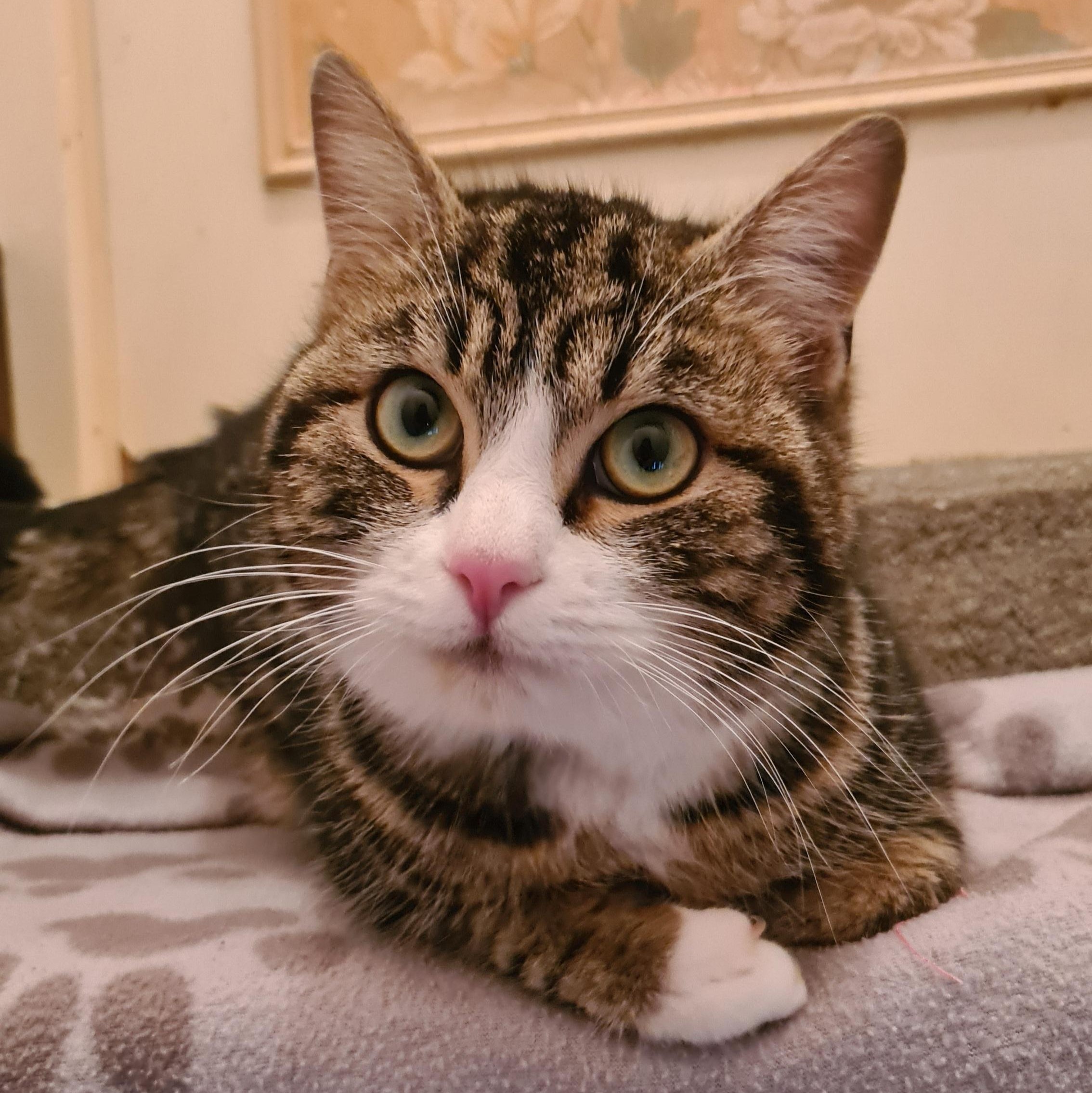 BIANCO (2) BIANCO – 1 an