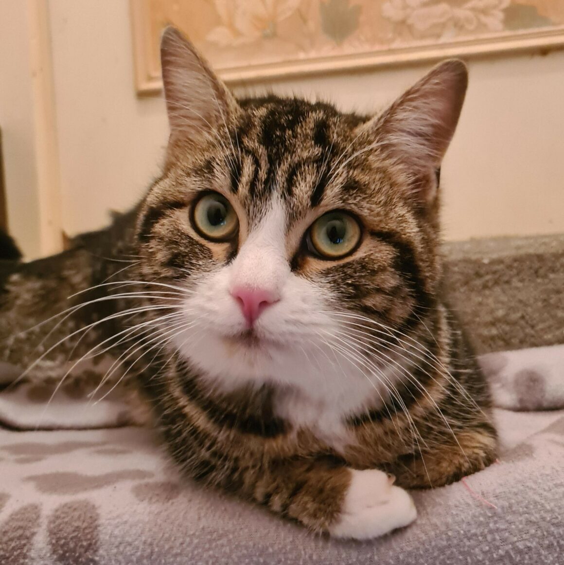 BIANCO (2) BIANCO – 1 an