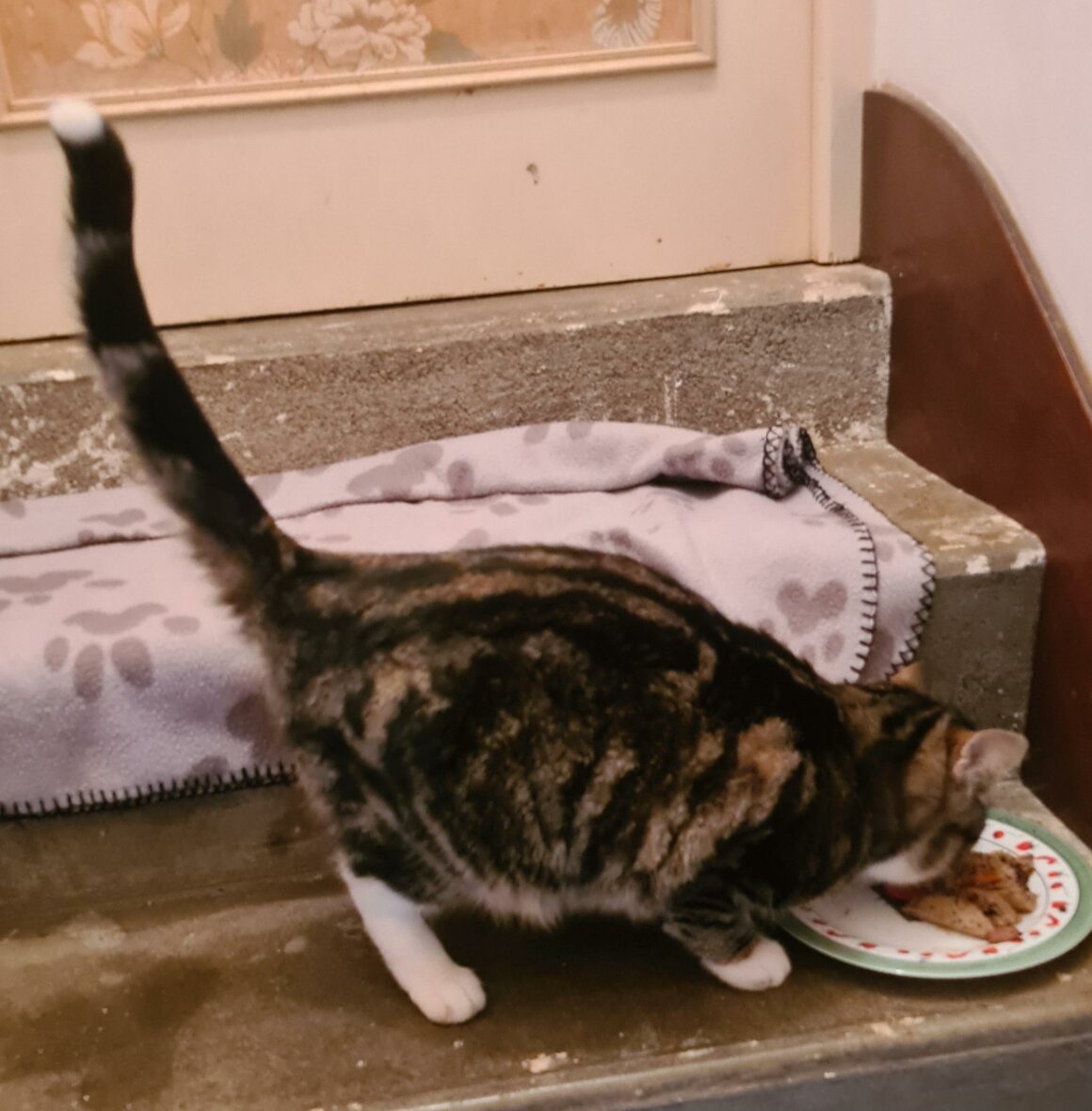 BIANCO (4) BIANCO – 1 an