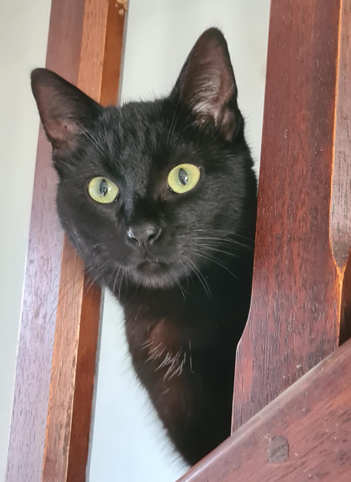 BRUME – 1 an et demi