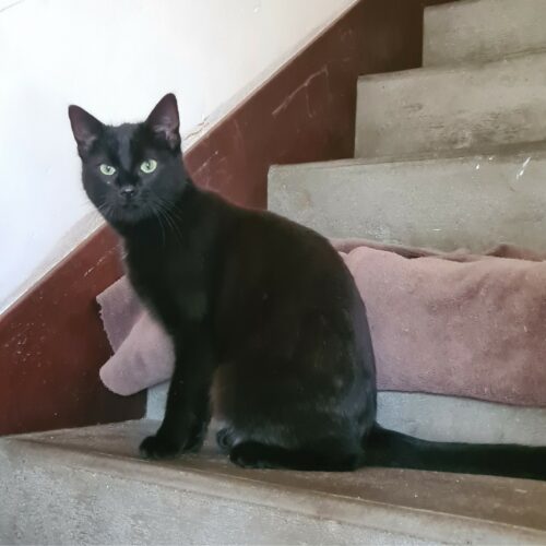 BRUME – 1 an et demi