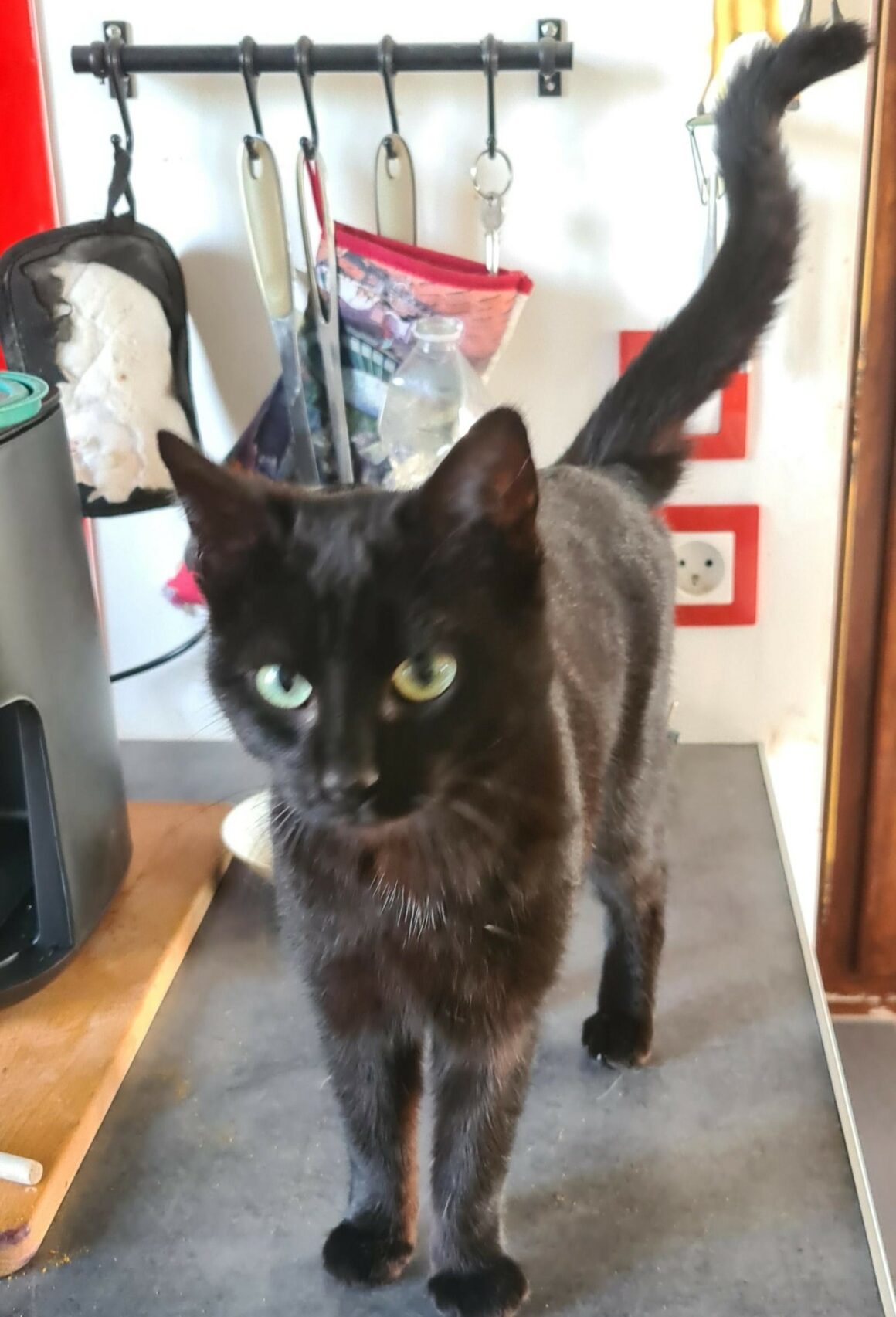 BRUME – 1 an et demi