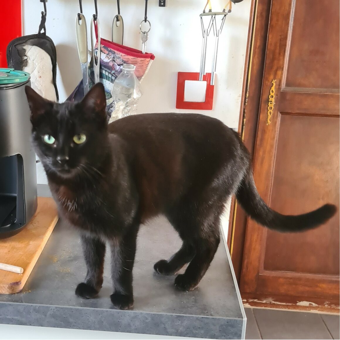 BRUME – 1 an et demi