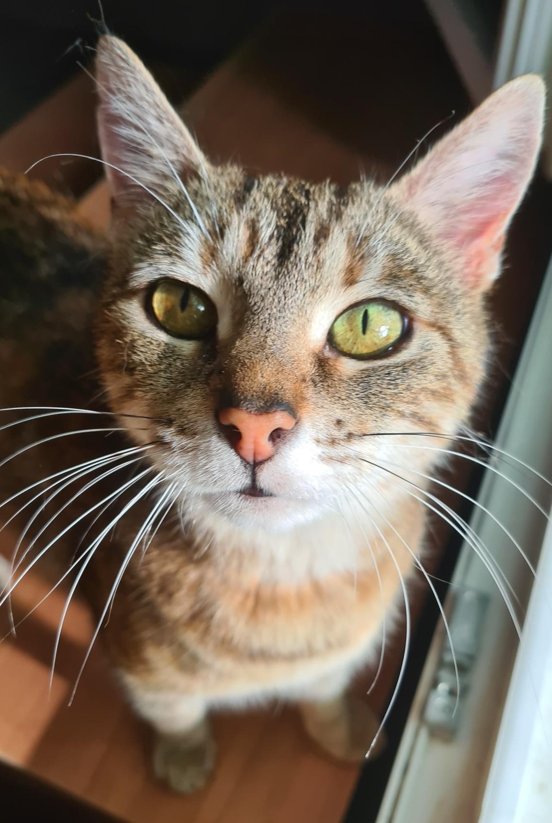 BRAISE – 2 ans réservée