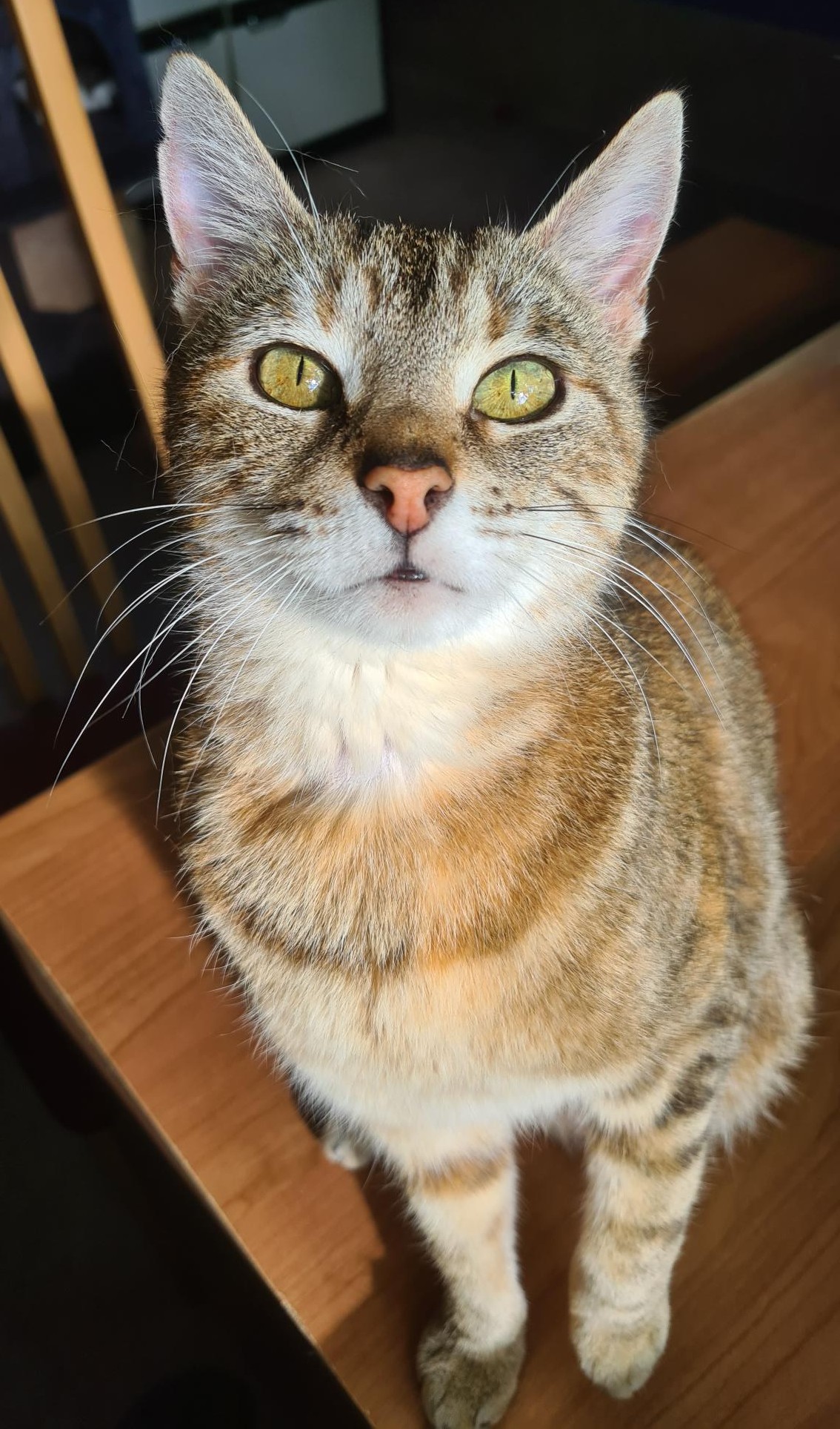 BRAISE – 2 ans réservée
