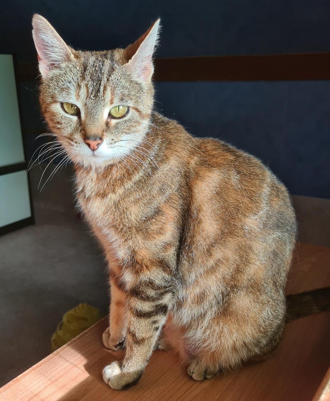 BRAISE – 2 ans réservée