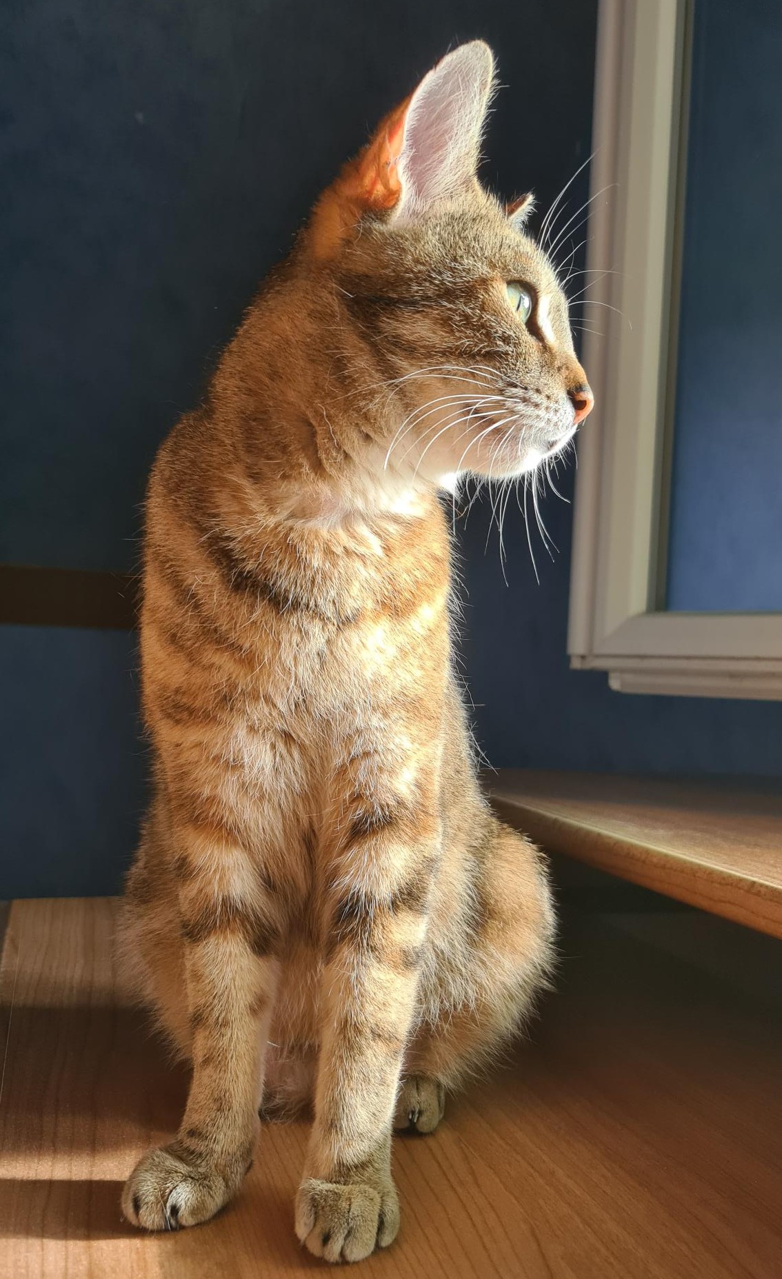 BRAISE – 2 ans réservée