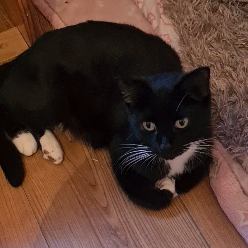 BASILÉA – 2 ans