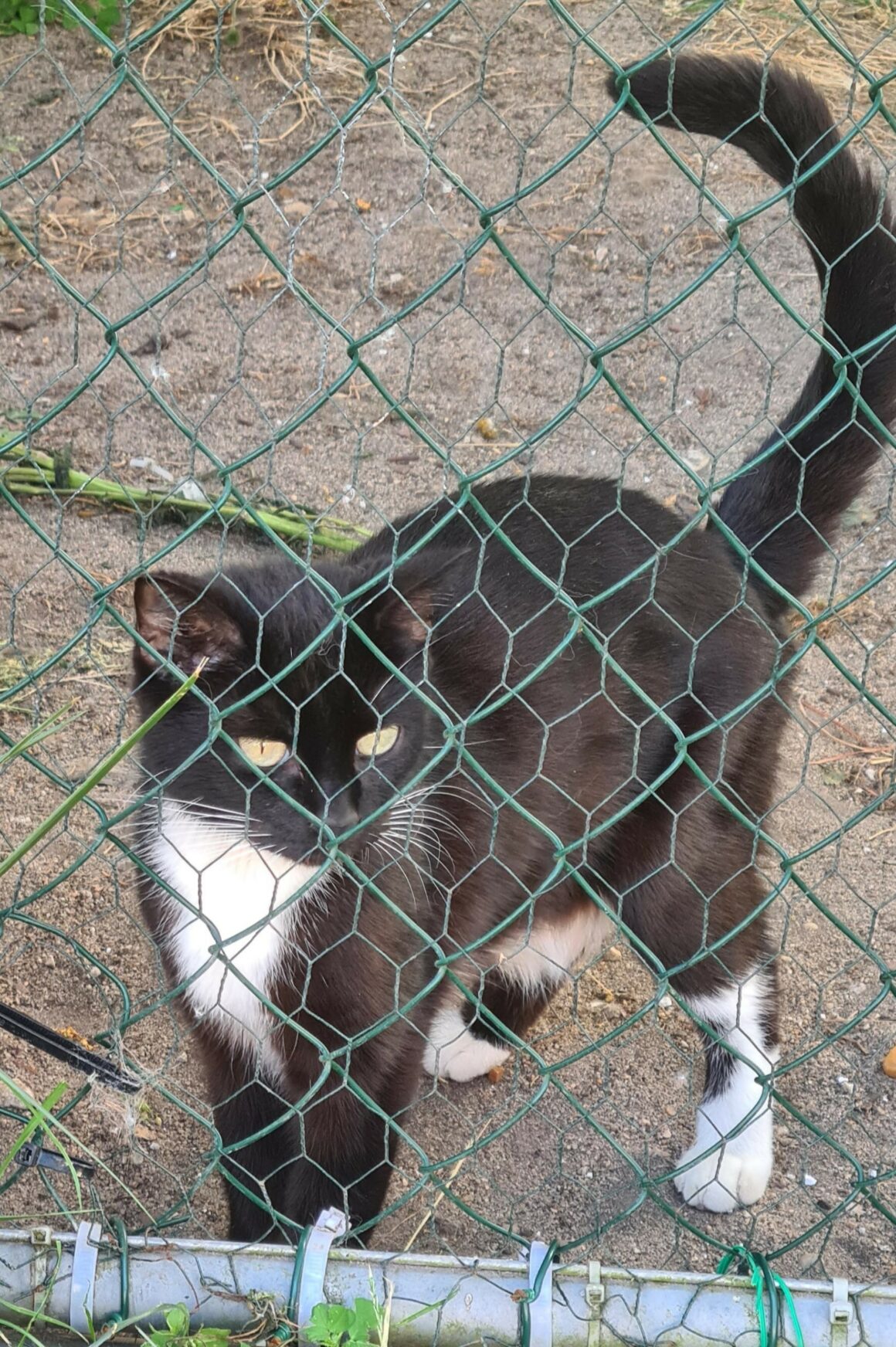 BASILÉA – 2 ans