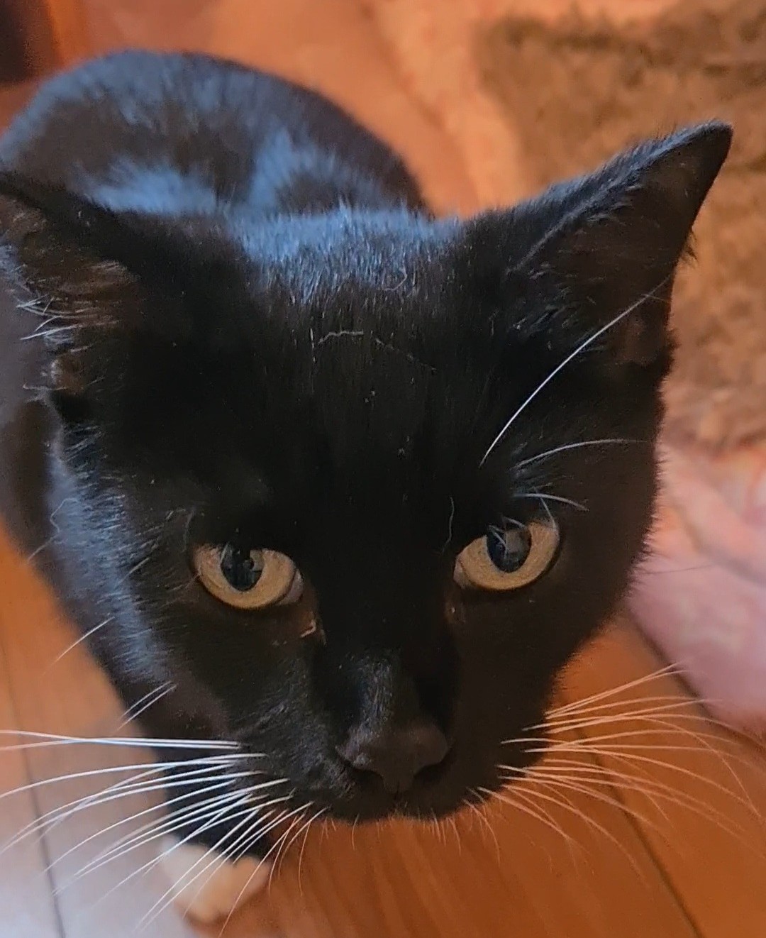 BASILÉA – 2 ans