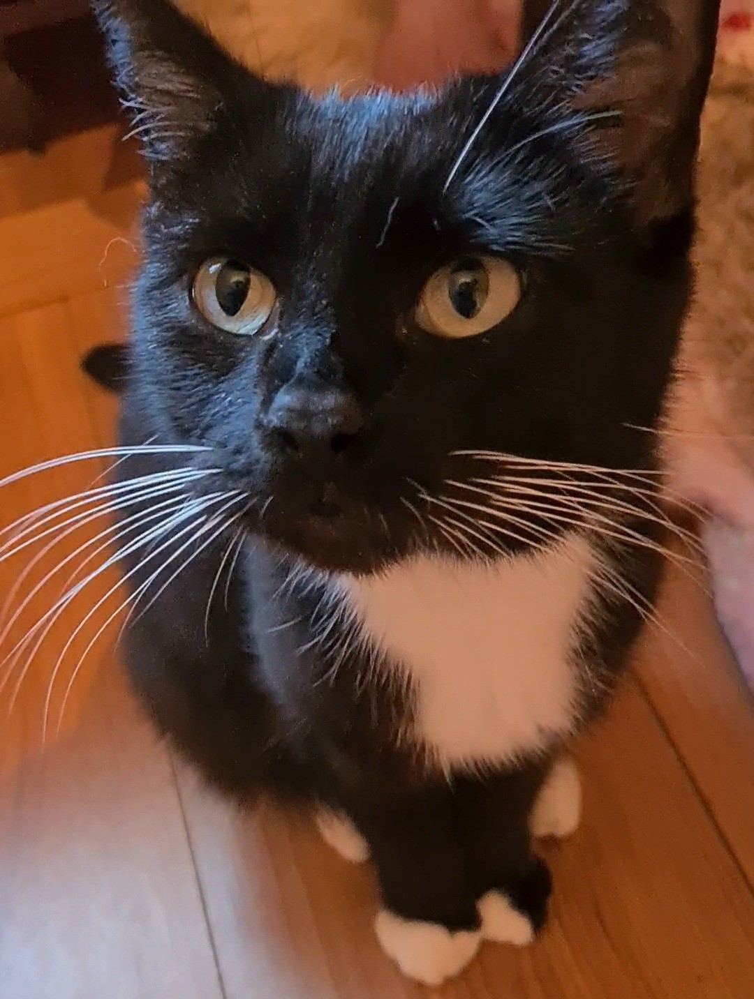 BASILÉA – 2 ans