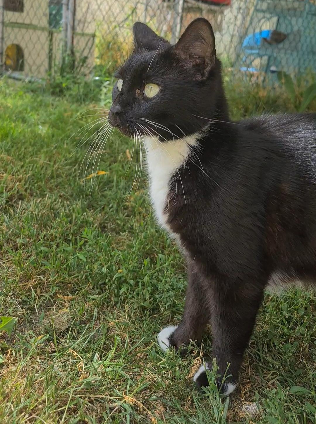 BASILÉA – 2 ans