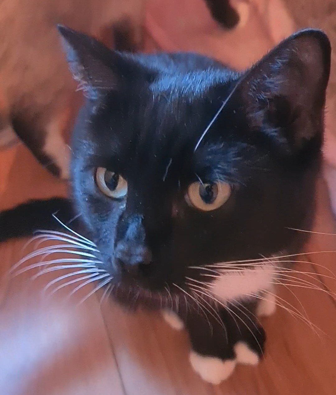 BASILÉA – 2 ans