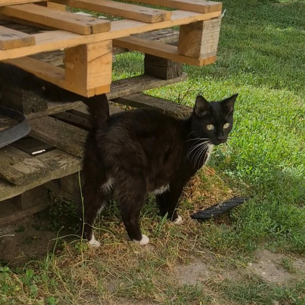 BASILÉA – 2 ans