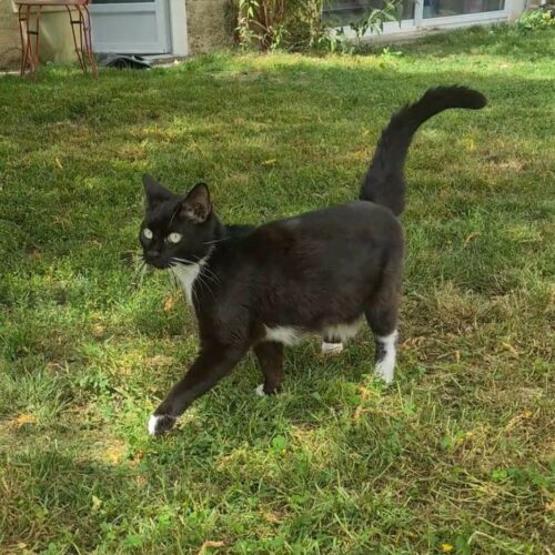 BASILÉA – 2 ans