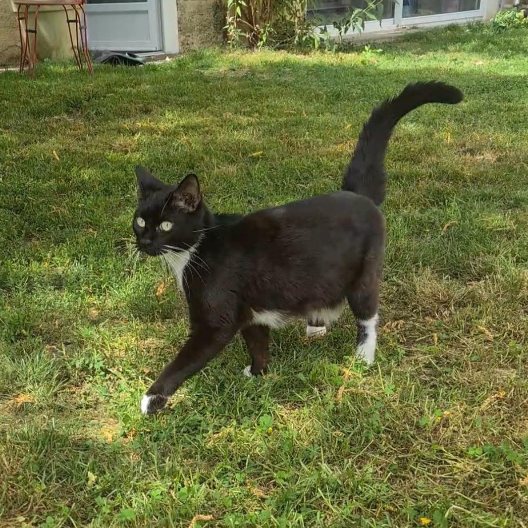 BASILÉA – 2 ans