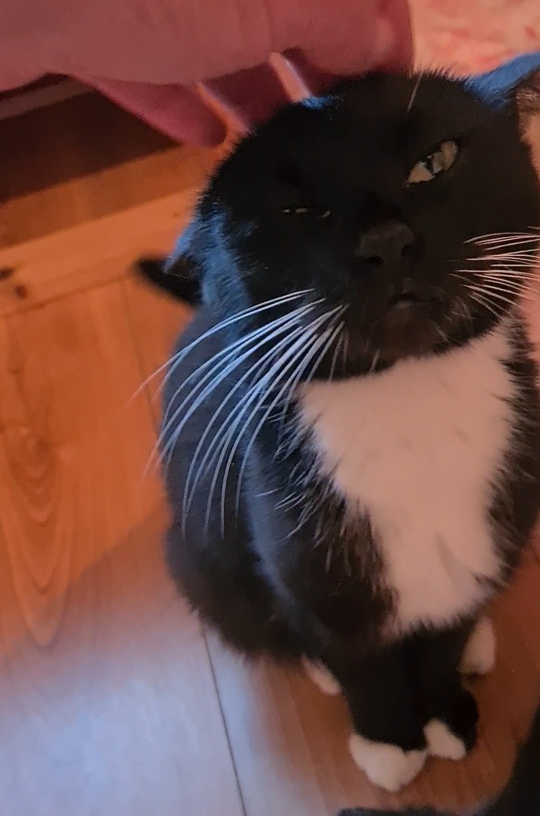 BASILÉA – 2 ans