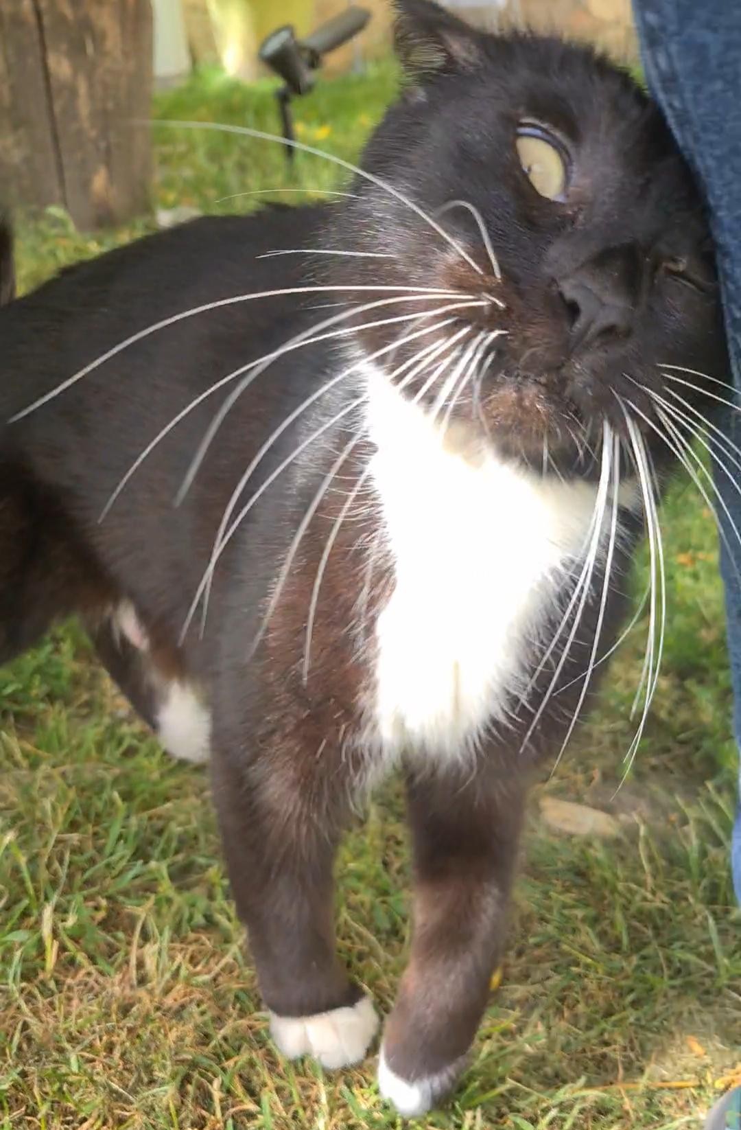 BASILÉA – 2 ans