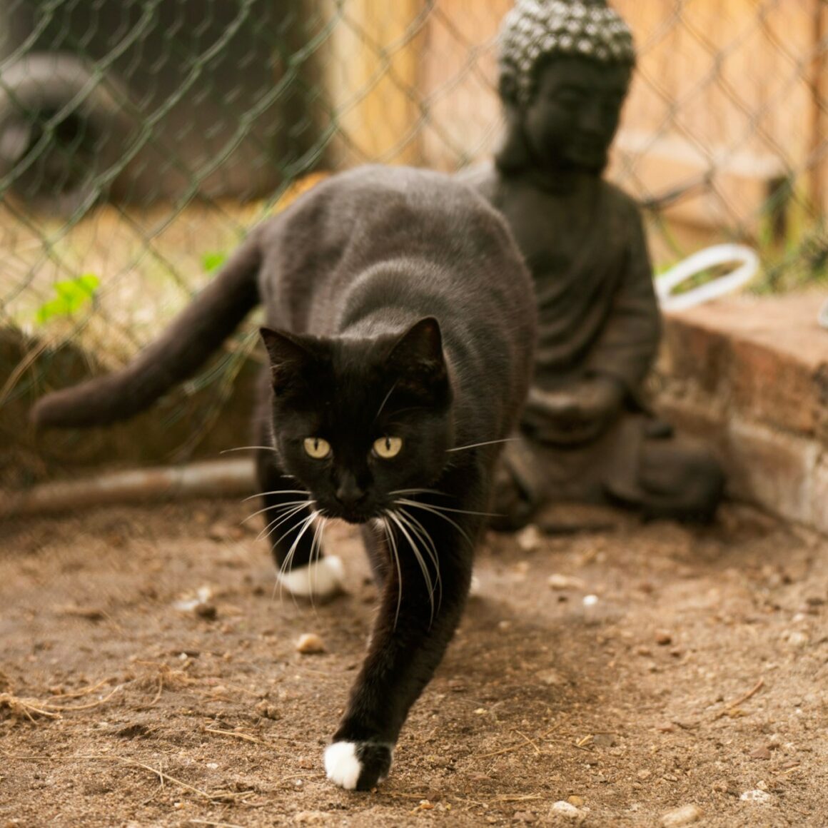 BASILÉA – 2 ans
