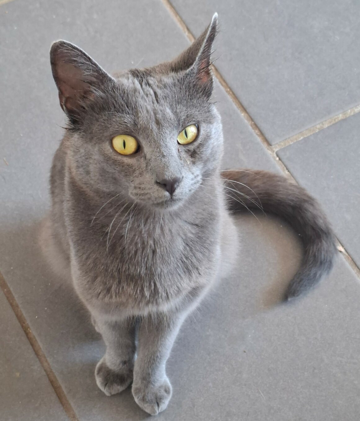 BUTANE – Junior