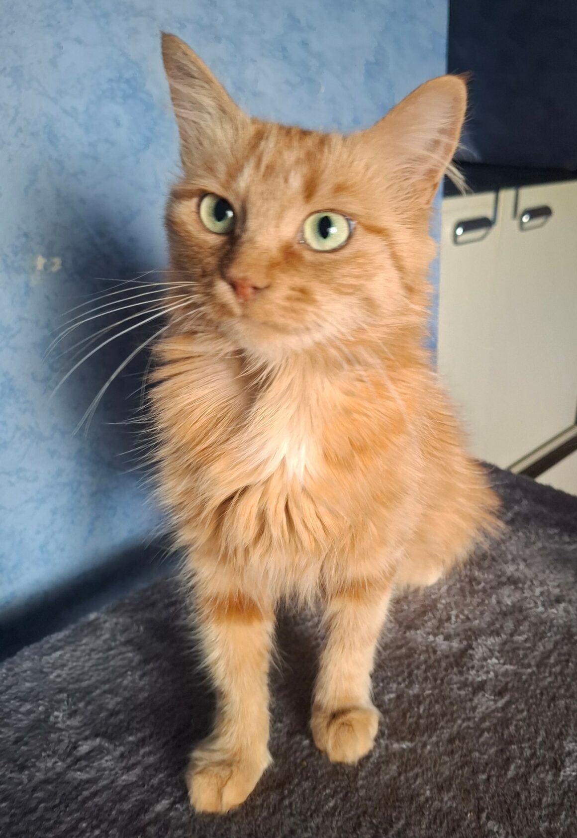 MIMI1 MIMI – 4 ans