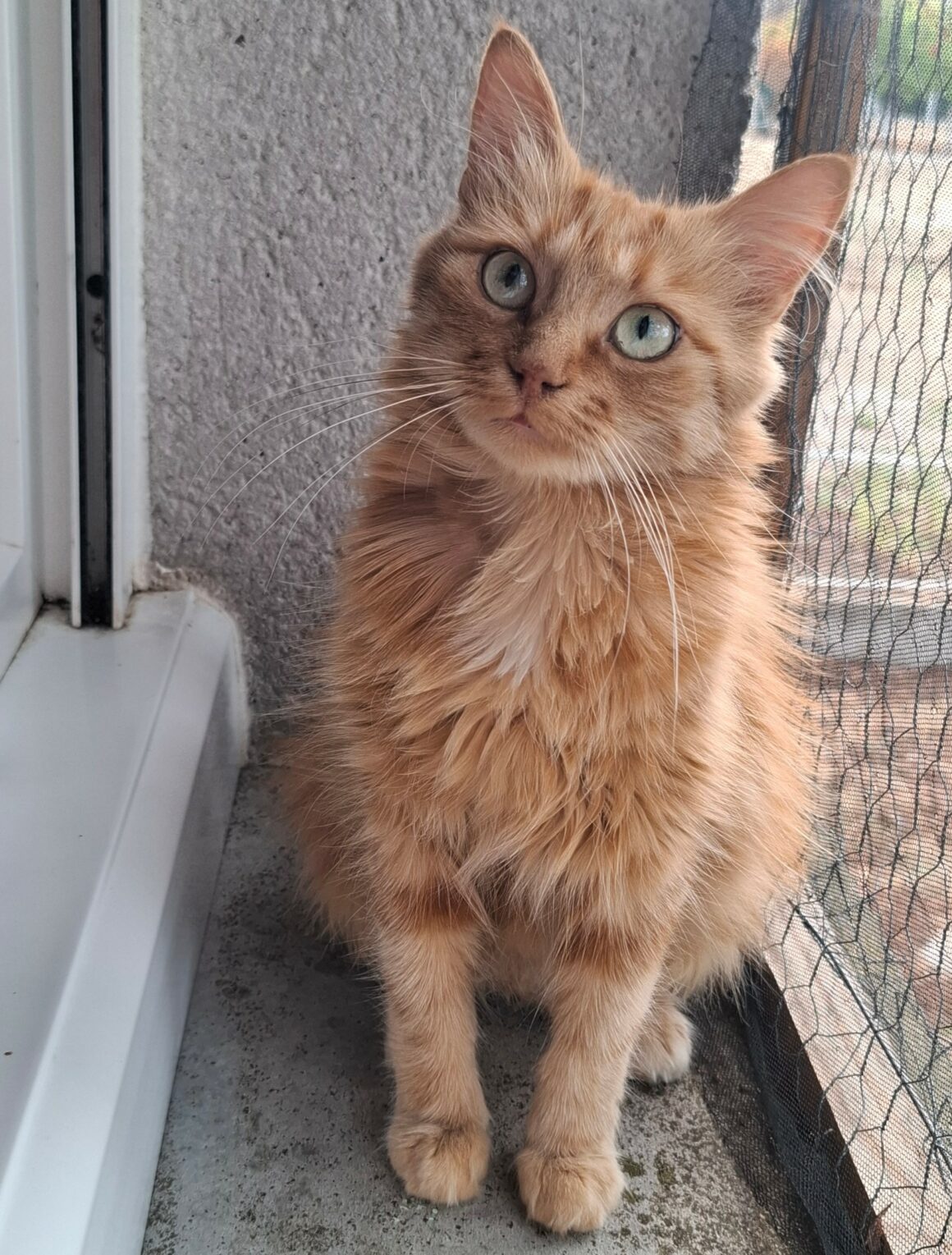 MIMI4 MIMI – 4 ans