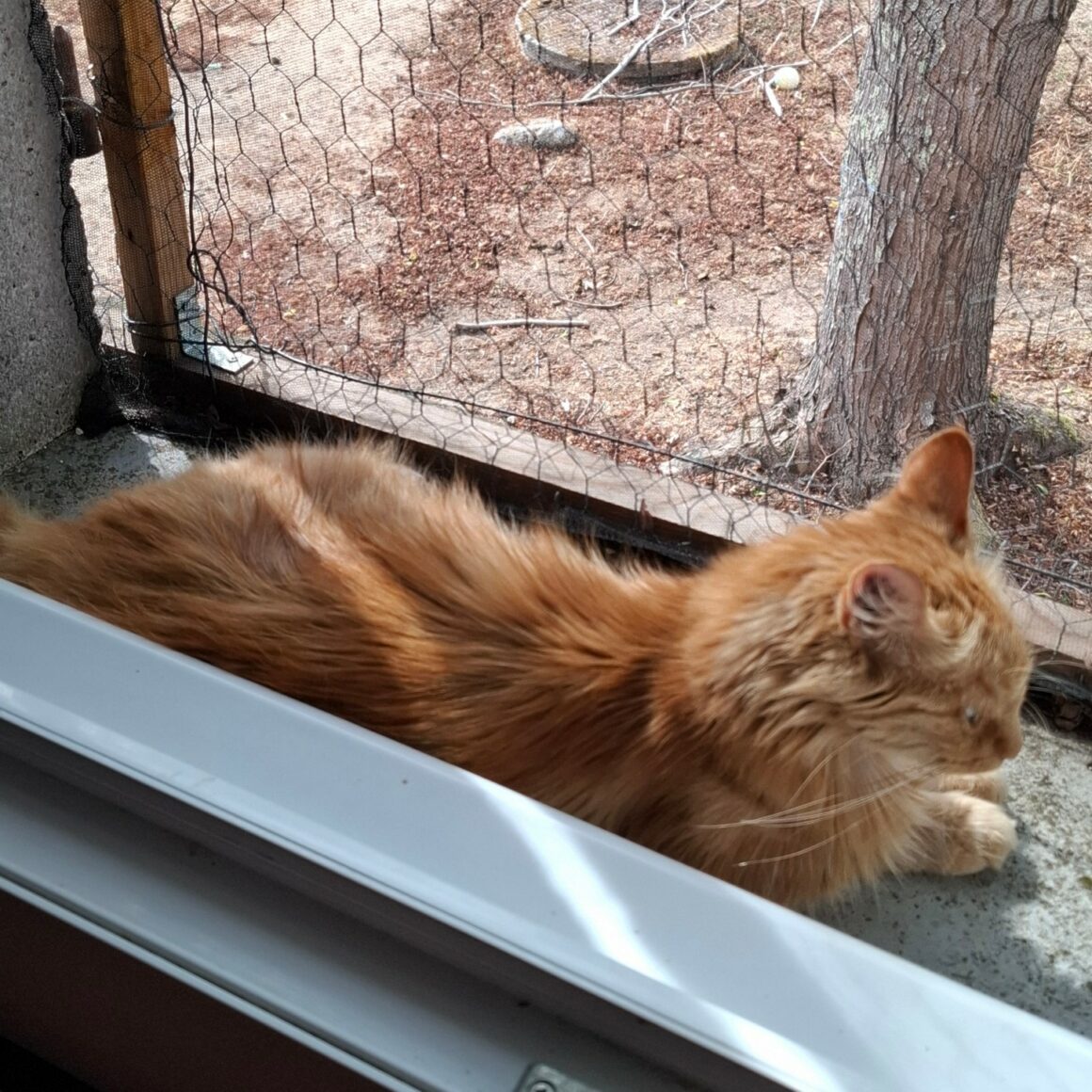 MIMI8 MIMI – 4 ans
