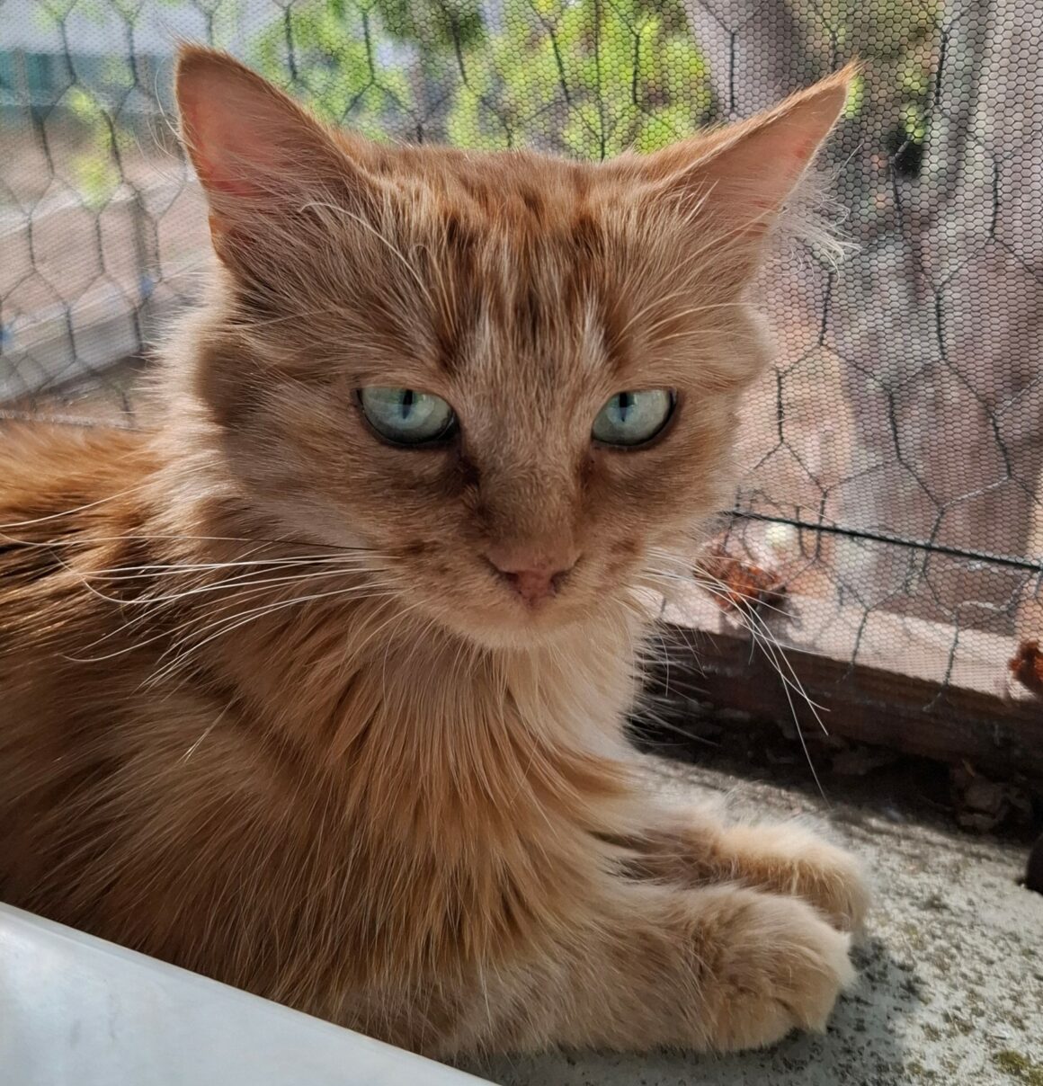 MIMI9 MIMI – 4 ans